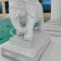 辽宁 白麻花岗岩动物异形石雕-大象