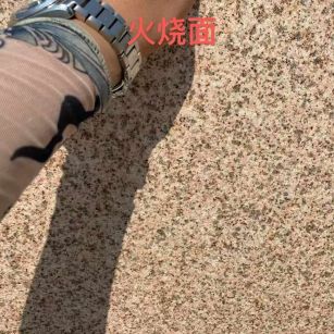 辽宁黄金麻火烧面