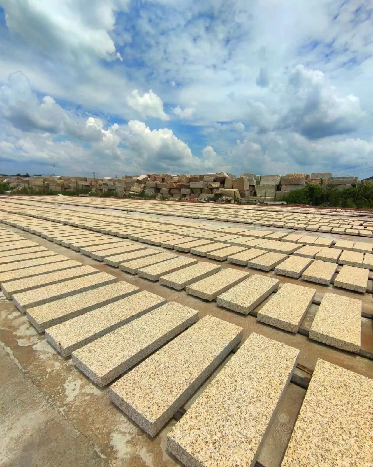 辽宁 黄金麻花岗岩荔枝面地铺石防护中