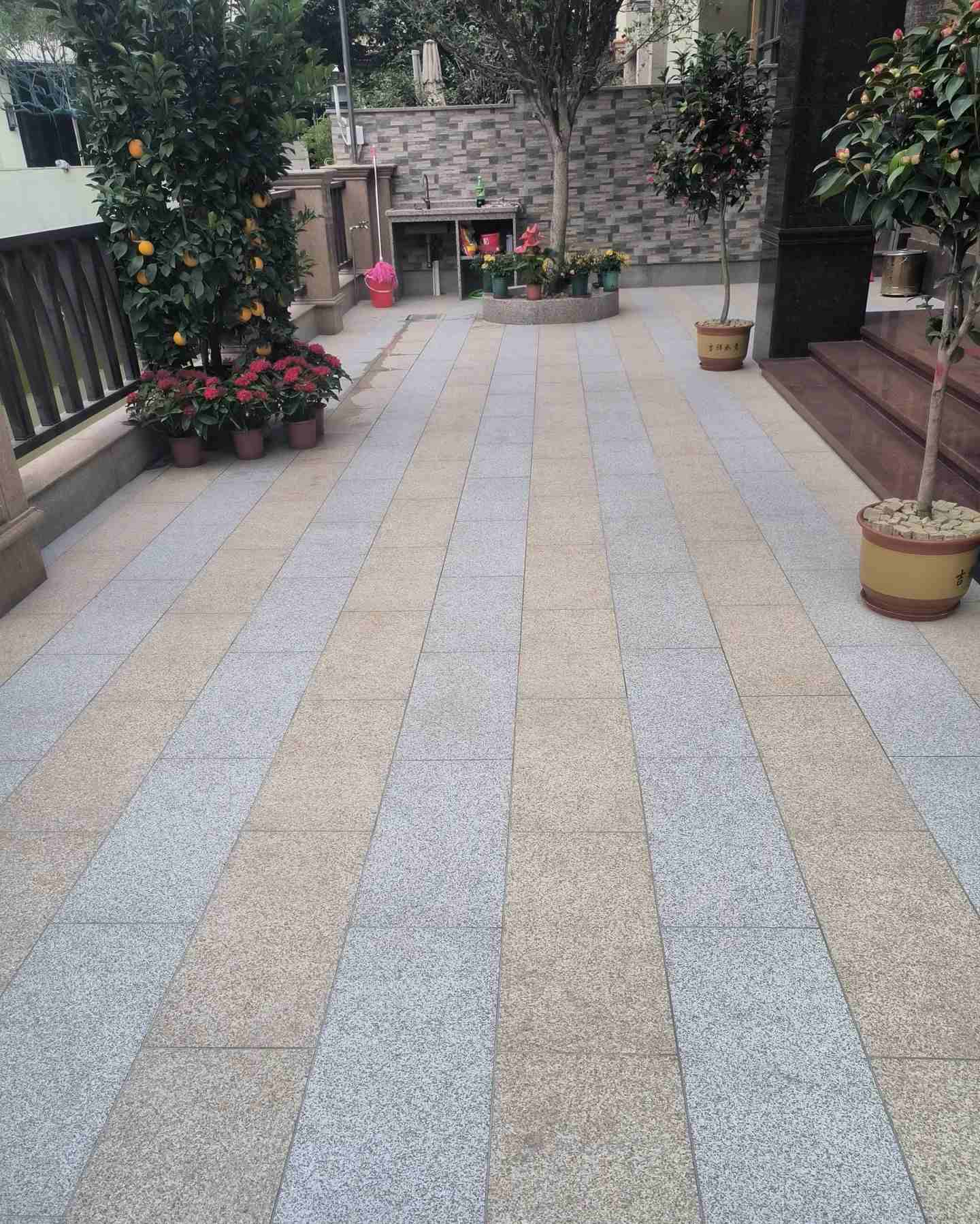 辽宁 黄金麻白麻荔枝面庭院铺装展示